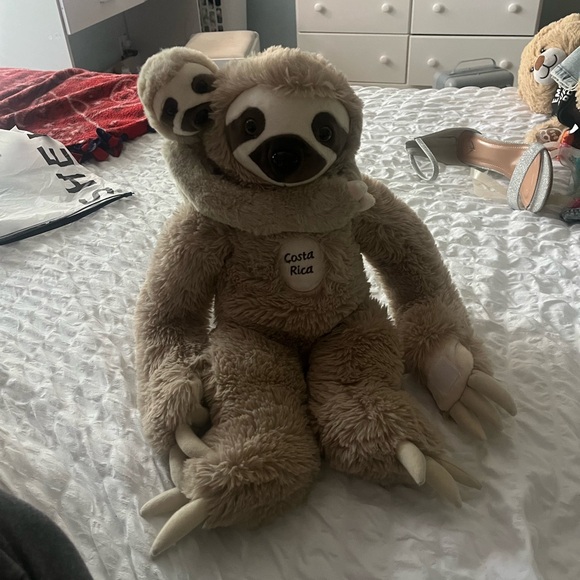 mom and baby costa rica sloth - Picture 1 of 5